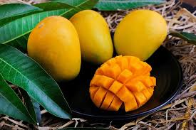photo of amber mangoes