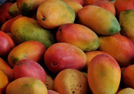 photo of red delicious mango